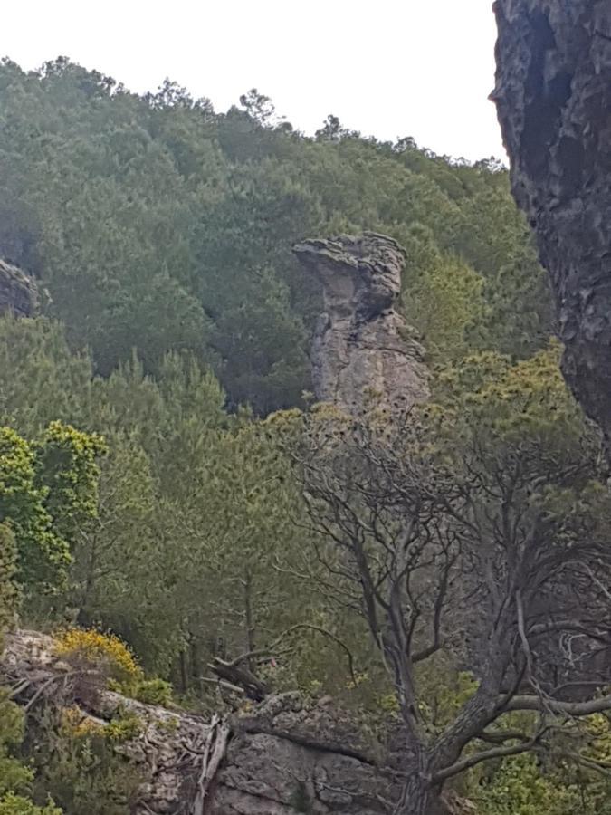 Séjour à la campagne Casa Puntes *